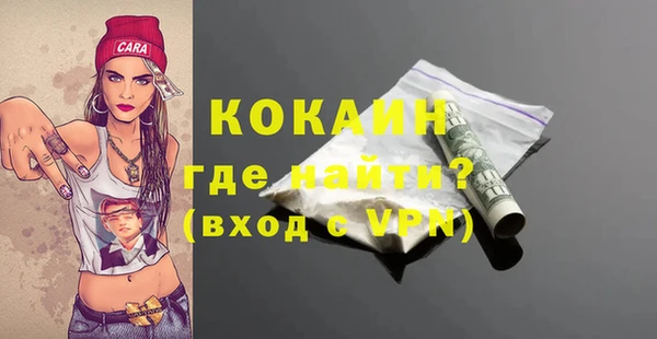 кокс Алексин