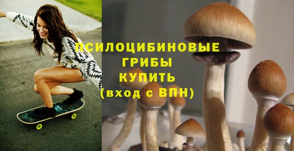 кокс Алексин