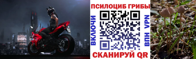 магазин продажи   Красноярск  Псилоцибиновые грибы MAGIC MUSHROOMS 